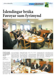 Síða 17