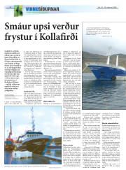 Síða 18