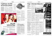 Síða 3