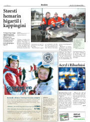 Síða 2