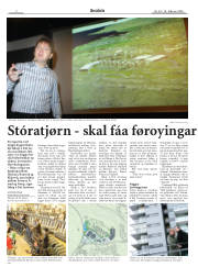 Síða 2