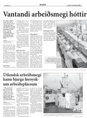 Síða 8