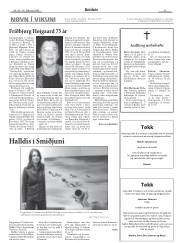 Síða 13