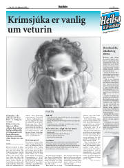 Síða 17