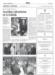 Síða 13