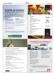 Síða 25