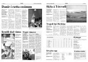 Síða 13