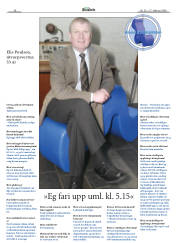 Síða 38