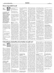 Síða 11