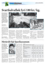 Síða 22
