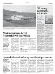 Síða 9