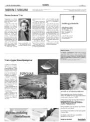 Síða 13
