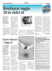 Síða 29