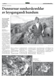 Síða 14