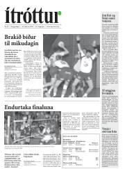 Síða 20