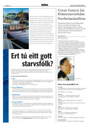 Síða 30