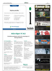 Síða 51