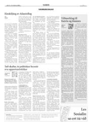Síða 11