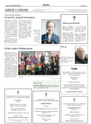 Síða 13