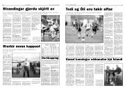 Síða 11