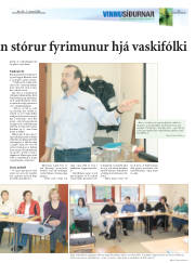 Síða 17