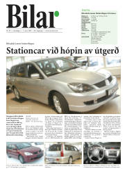 Síða 19