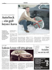 Síða 20