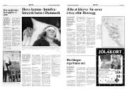 Síða 6