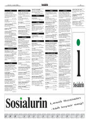 Síða 31