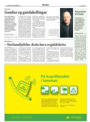 Síða 3