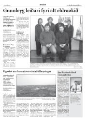Síða 6