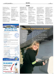 Síða 29