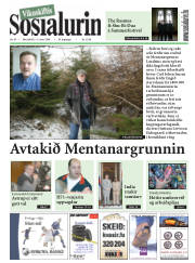 Síða 1