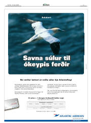 Síða 3