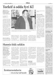 Síða 17