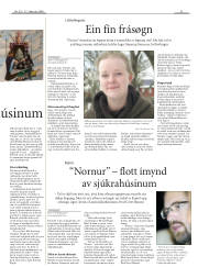 Síða 31