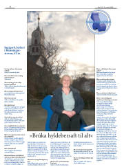 Síða 32