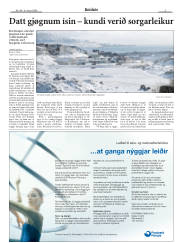 Síða 3