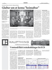 Síða 8