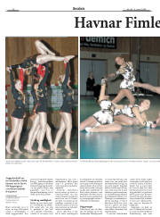 Síða 20
