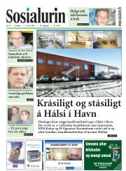 Síða 1