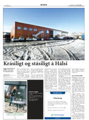 Síða 2