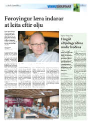 Síða 17