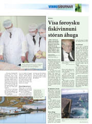 Síða 19