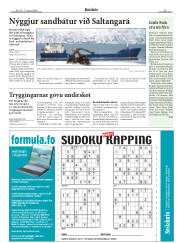 Síða 29