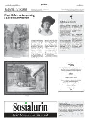 Síða 13
