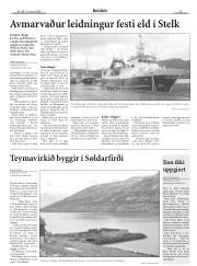 Síða 13