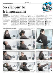 Síða 17