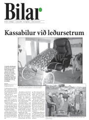 Síða 31