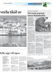 Síða 9